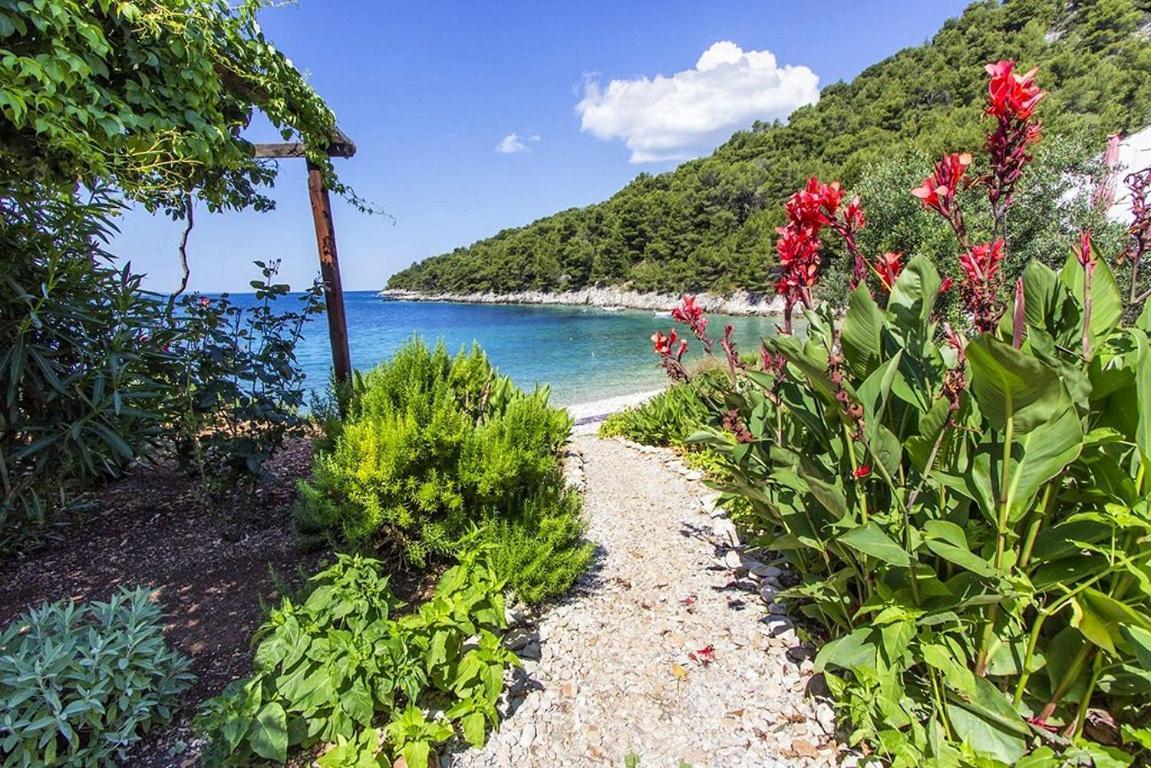 Seaside Secluded Apartments Cove Skozanje, Hvar - 5713 Gdinj Buitenkant foto